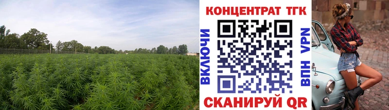 Дистиллят ТГК THC oil  где купить наркоту  Электросталь 