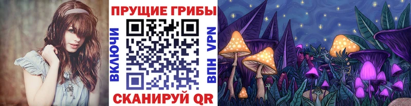 что такое   Электросталь  Псилоцибиновые грибы мухоморы 