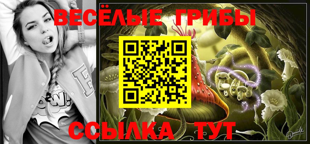 Электросталь  Галлюциногенные грибы MAGIC MUSHROOMS  Вход с VPN  Галлюциногенные грибы Psilocybine cubensis 