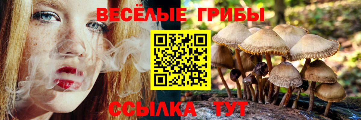 Псилоцибиновые грибы мицелий Электросталь