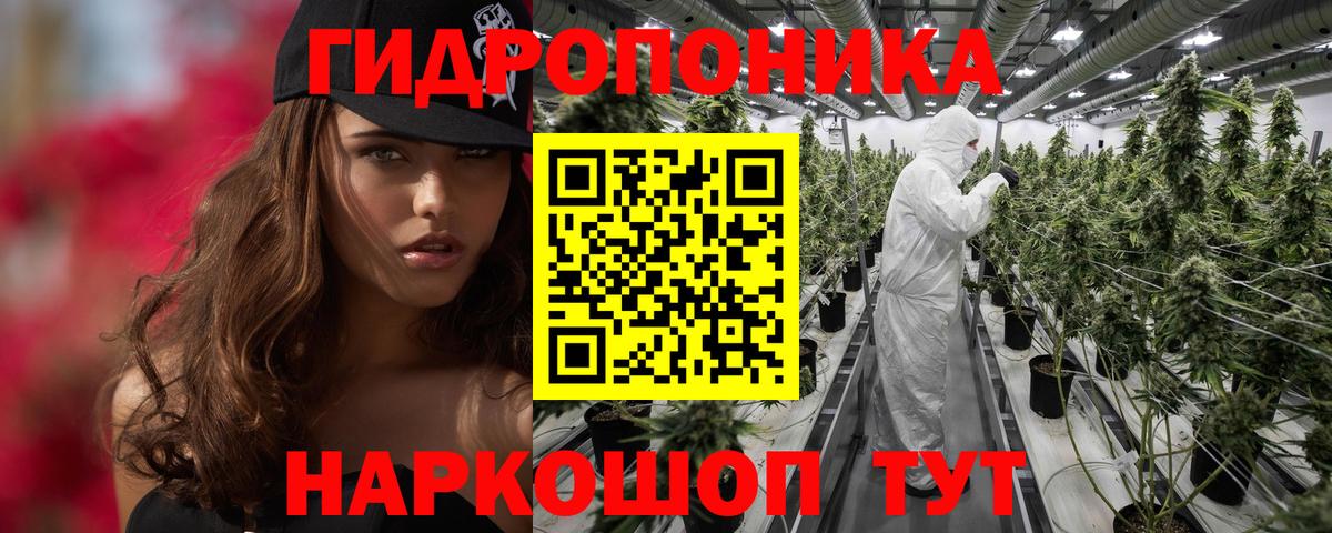 Шишки марихуана Amnesia Электросталь